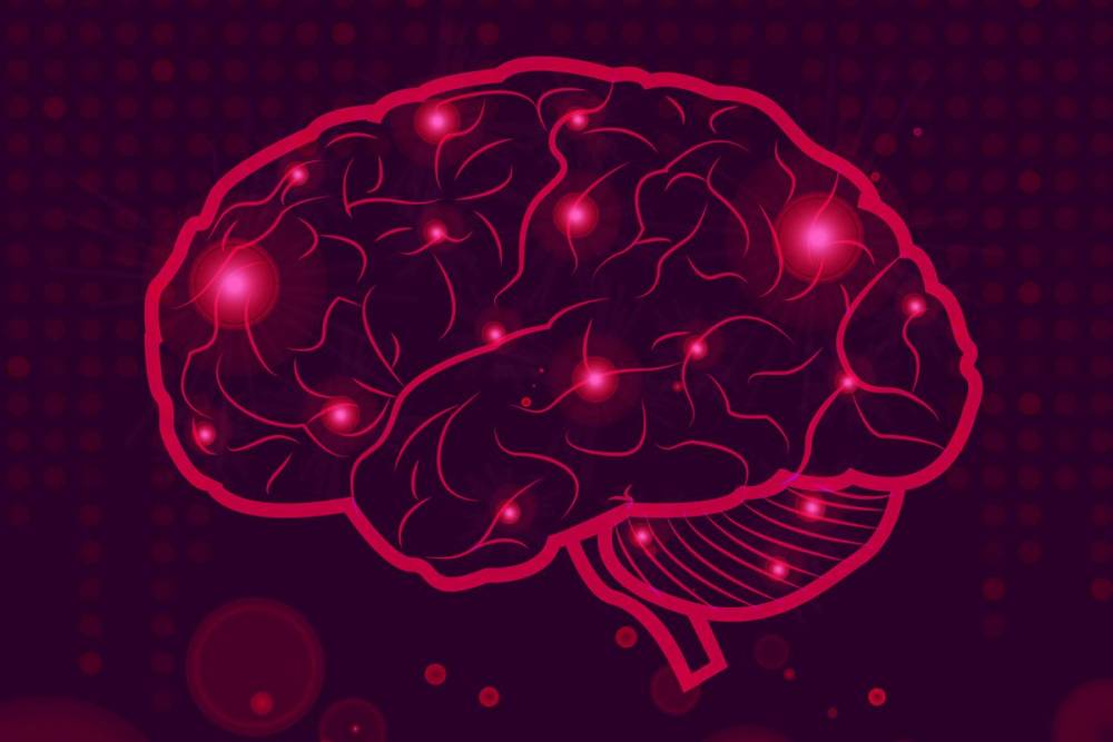 Using Neuromarketing To Improve Website Conversions